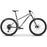 2024 Transition TransAM Steel NX
