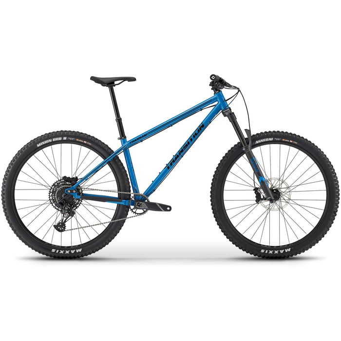 2024 Transition TransAM Steel NX