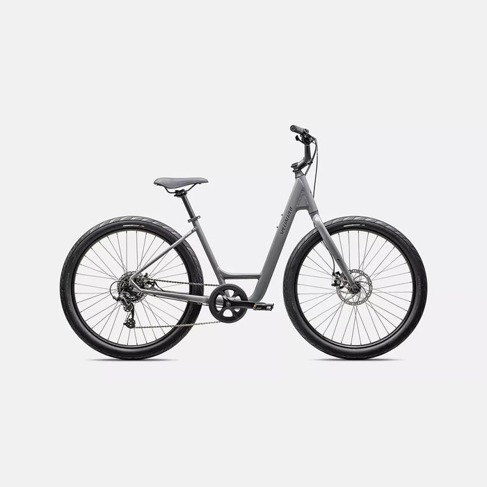 2025 Specialized Roll 2.0 Low Entry Bike