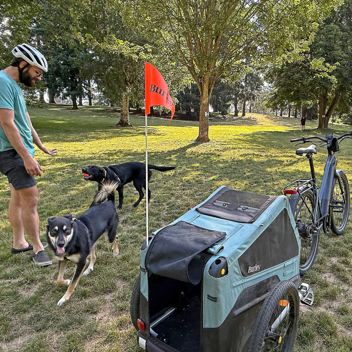 Bark Ranger®