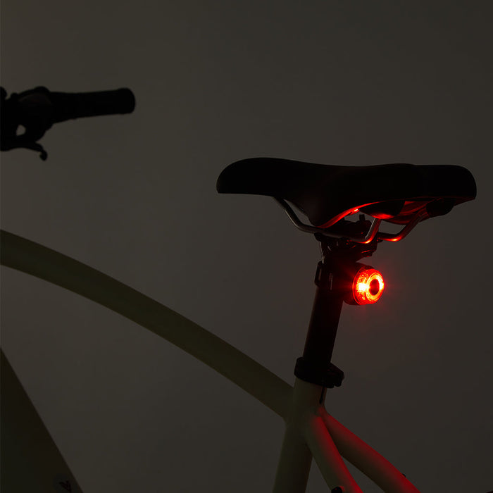 Alpha S