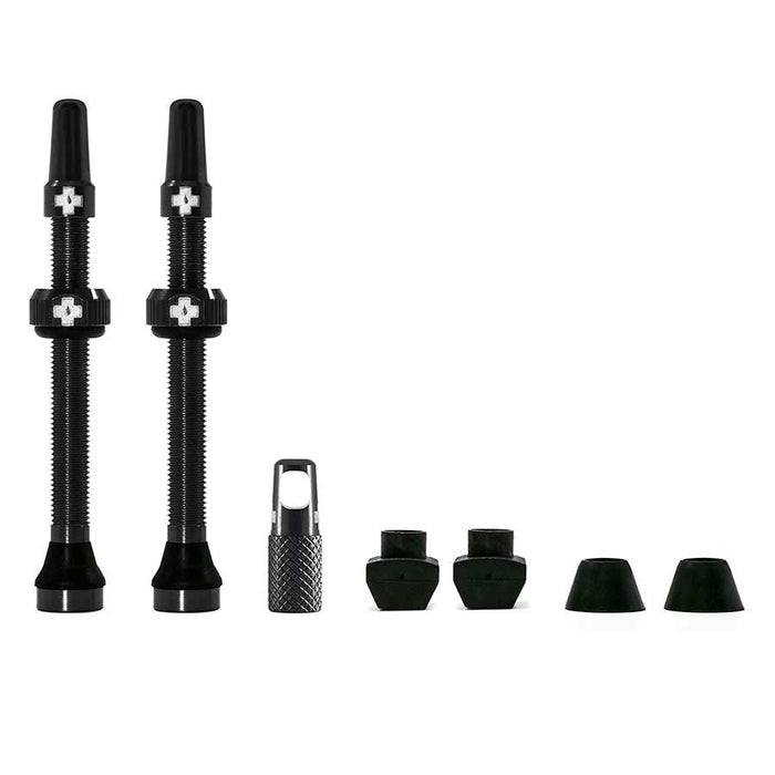 Tubeless Valves, V2