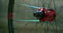 Wheel Consultation