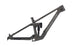 2025 Sentinel Frame Only