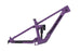 2025 Sentinel Frame Only