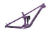 2025 Sentinel Frame Only