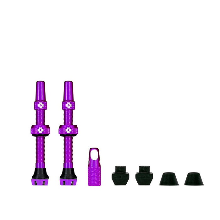 Tubeless Valves, V2