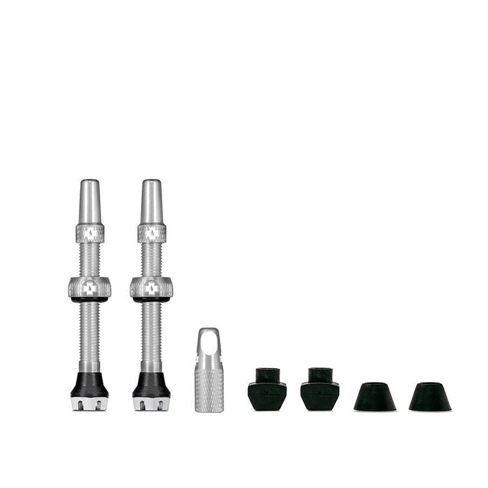 Tubeless Valves, V2