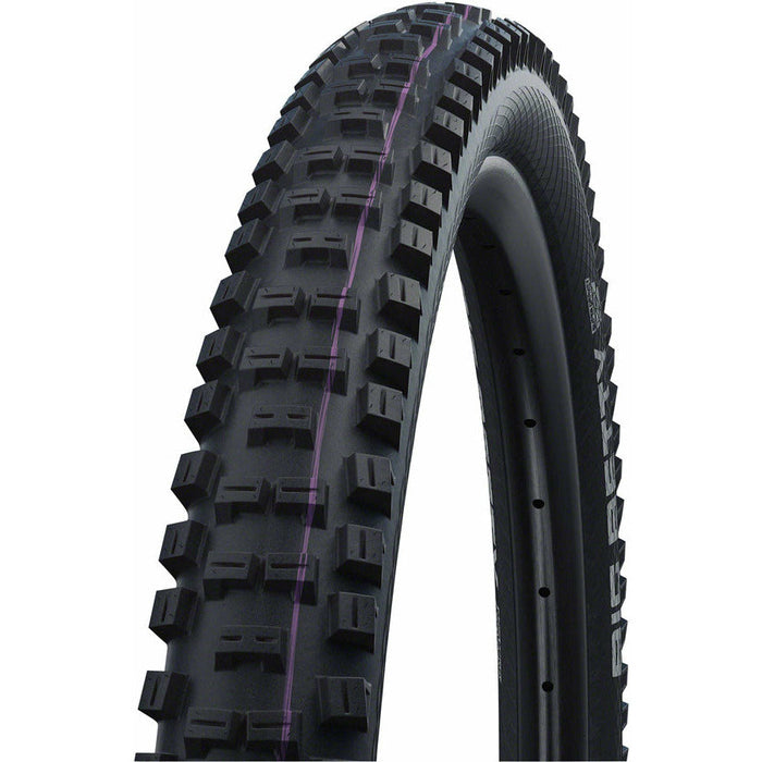 Schwalbe Big Betty Tire 29 x 2.4 Mountain Bike Tire