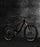 Tallboy - 2025