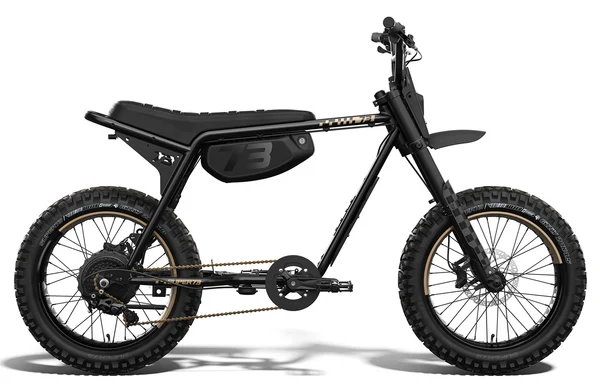 Super73-Z Adventure Electric Bike
