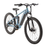 Hurley Riptide Dual Electric Mountain Bike