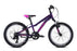 Fuji Dynamite 20 Kids Mountain Bike