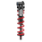Vivid Coil Ultimate RC2T